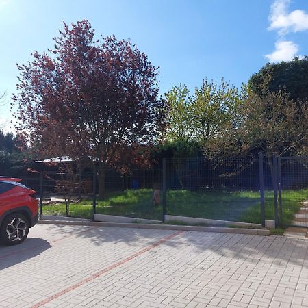 Penzion U Novotnych Jiřetín pod Jedlovou Exterior foto